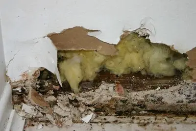 water-damaged wood repairs Sydney