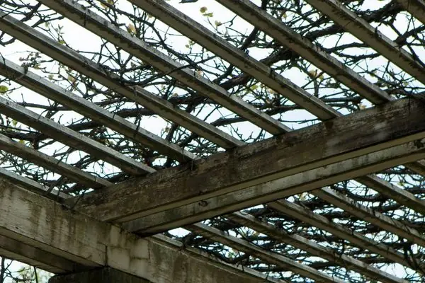 choose a reliable pergola builder in Sydney NSW